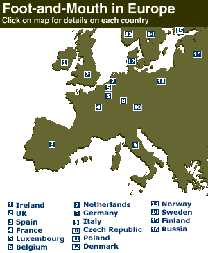 Foot-and-mouth in Europe