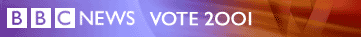 news vote 2001