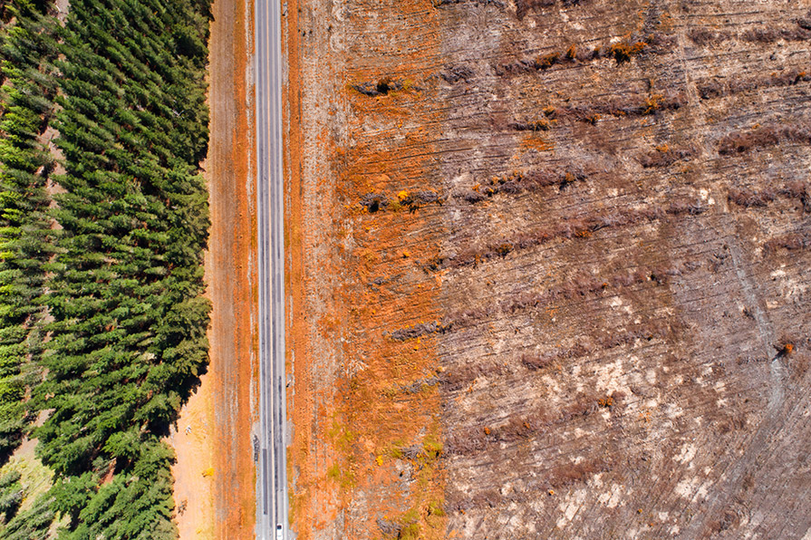 A forrest next to a group an are of deforestation