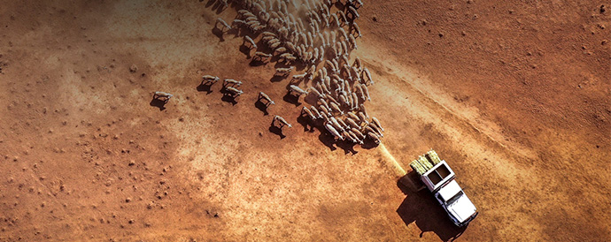 Why our food needs to use less water