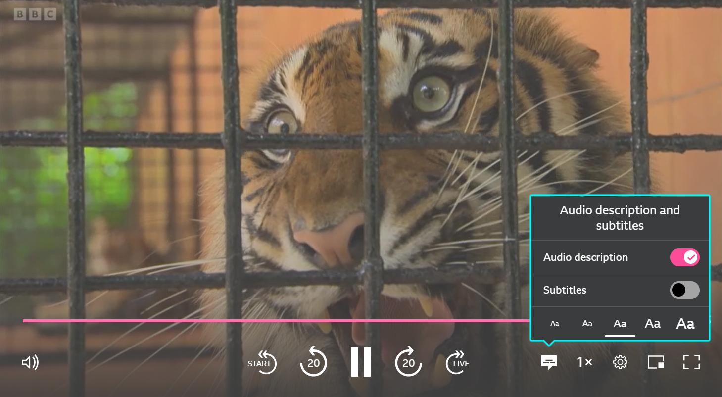 Image of the playback screen on the iPlayer website. The speech bubble icon is highlighted and the Audio Description toggle is on