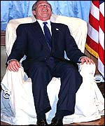 Bush
