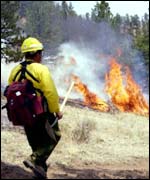 Firefighters