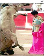 Bullfighter