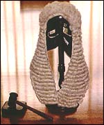 Judge's wig