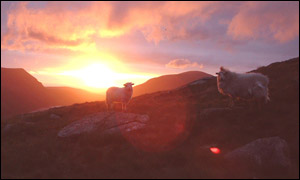 Snowdon