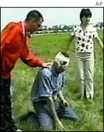 Injured spectator