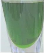 Methadone