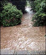 River at Livingston