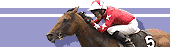 Rock of Gibraltar is racing's new star after equalling Mill Reef's record of six consecutive Group One wins