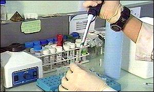 Lab work