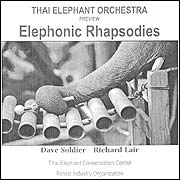 CD Cover of the Elephants' music
