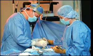 Surgeons