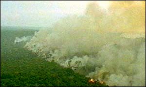 Fires of the Amazon