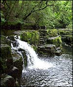 waterfall