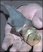 Residents put pipe bomb remains on display