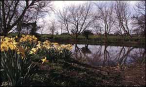 Filby village pond