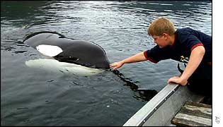Keiko in Norway