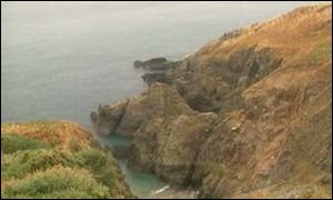 Ivy Cove