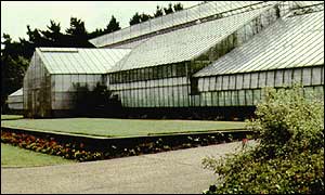 Greenhouse
