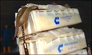 Fish is hauled ashore