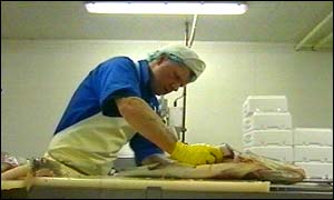 Fillets are taken from the raw cod