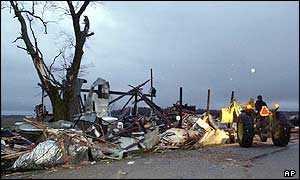 Tree split in half by storm, near Continental, Ohio