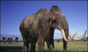 A mammoth