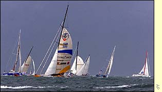 Kingfisher pictured at the start of the Route du Rhom