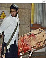 Stretcher bearer 