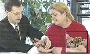 Andy Gibney and Nicki Sail with tarantula