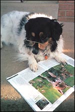 Sparky dog, Science