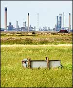 Marshes at Cliffe