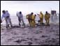 The clean-up operation