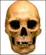 Skull, Liverpool John Moores University