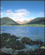 Loch Fyne 