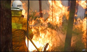 Battling a bushfire near Glenorie