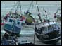 Trawlers