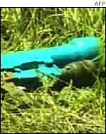 Kenyan TV pictures of the missile launcher