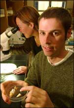 Dr Conan Young, Yelick 