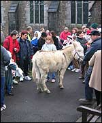 Donkey