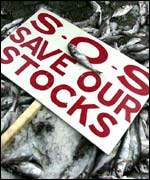 Fish placard