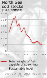 Graph showing stocks of cod since 1963