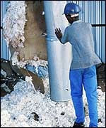 Cotton production