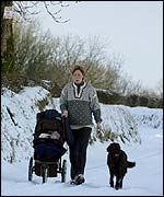 Walkers in Antrim