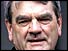 David Irving (AP)