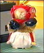 Robins boxing hamster