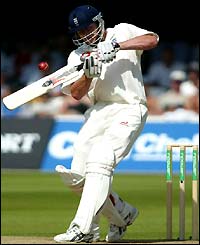 Andrew Flintoff pulls for yet more runs