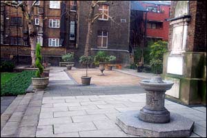 The garden