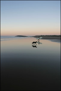 Liz Howell took this picture of Llangenith beach evening surfing, with my dog Sophie.